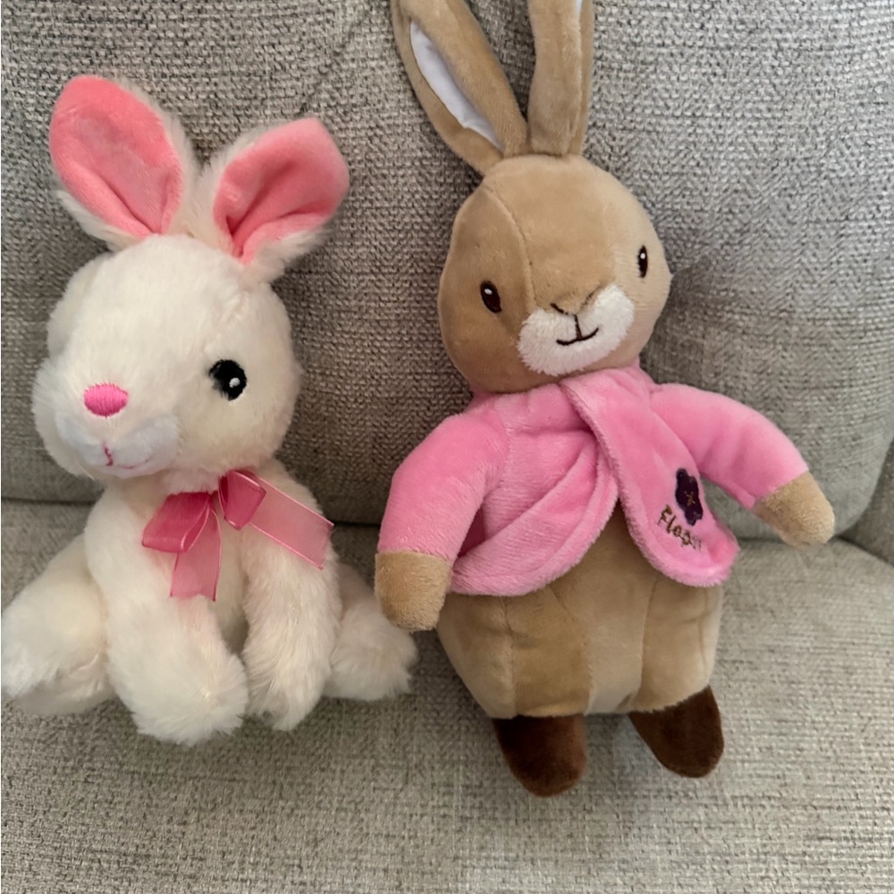 The World of Beatrix Potter- Peter Rabbit “Flopsie” and an adorable friend